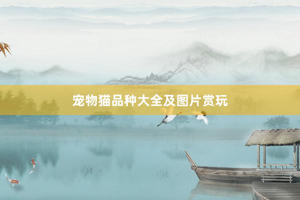 宠物猫品种大全及图片赏玩
