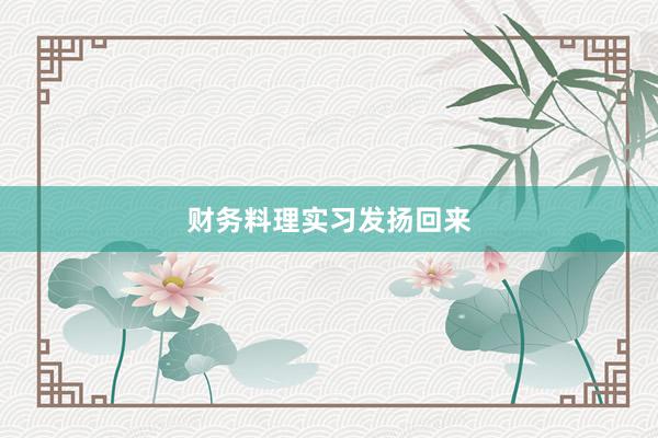 财务料理实习发扬回来